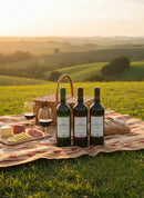 Seco | Kit de 3 Vinhos